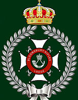 Home Page of Bloomsbury Rifles